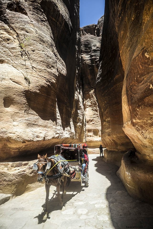 Discover Petra in Jordan: Why This Ancient Rock City Makes the Middle East Unmissable