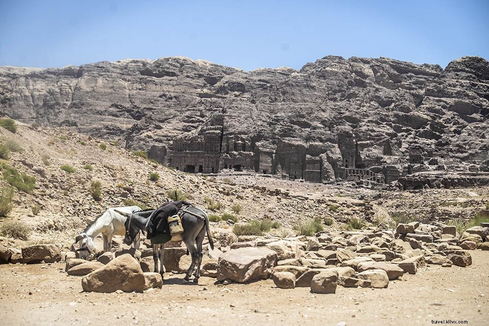 Discover Petra in Jordan: Why This Ancient Rock City Makes the Middle East Unmissable