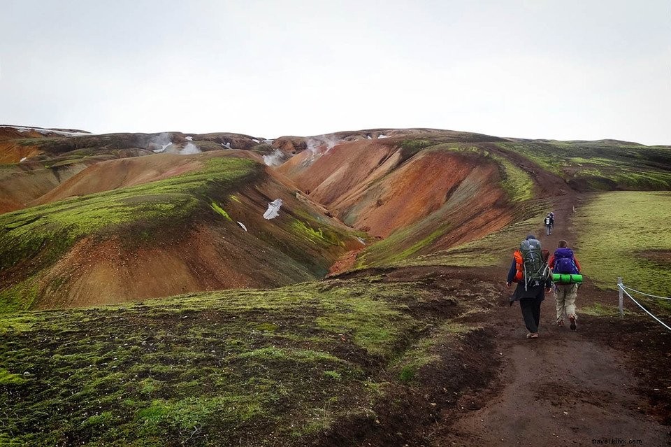 Explore Stunning Trekking Trails in Iceland s Landmannalaugar Rainbow Mountains