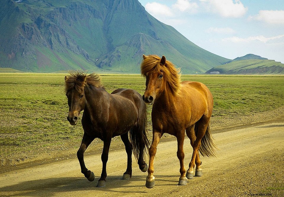 Explore Stunning Trekking Trails in Iceland s Landmannalaugar Rainbow Mountains