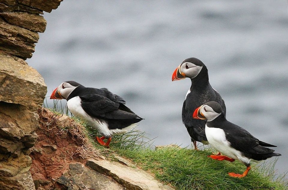 Reynisfjara Black Sand Beach: Ultimate Guide to Iceland s Iconic Wonder