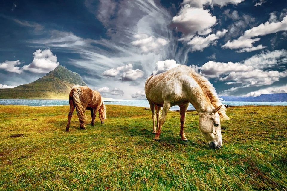 Ultimate Iceland Road Trip Guide: Explore by Car