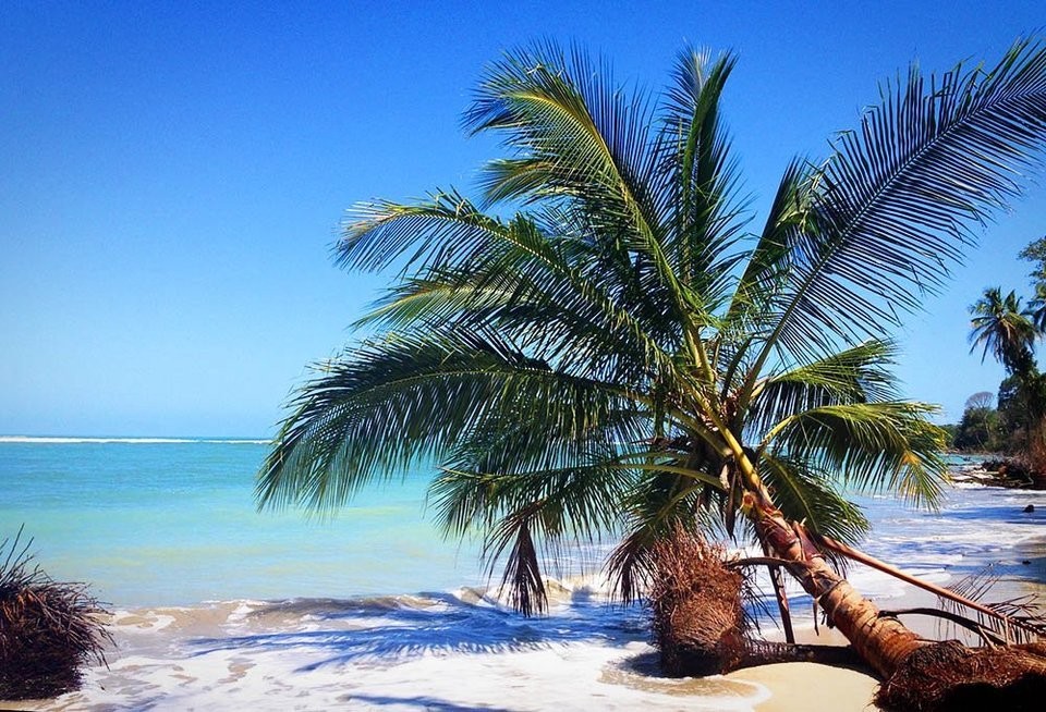 Budget Travel Tips for Costa Rica: Explore Affordably Like a Pro