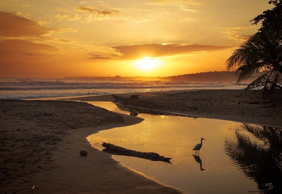 Budget Travel Tips for Costa Rica: Explore Affordably Like a Pro