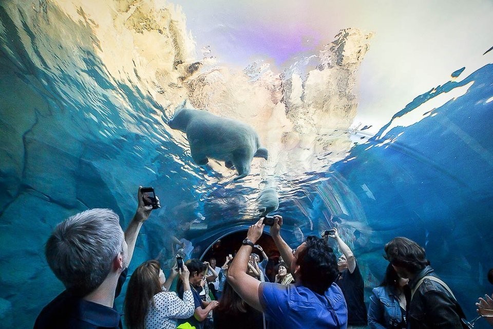 Canada Road Trip #6: Discover Winnipeg, Manitoba s Vibrant Capital