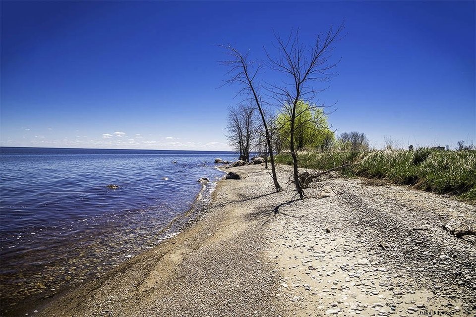 Canada Road Trip #6: Discover Winnipeg, Manitoba s Vibrant Capital