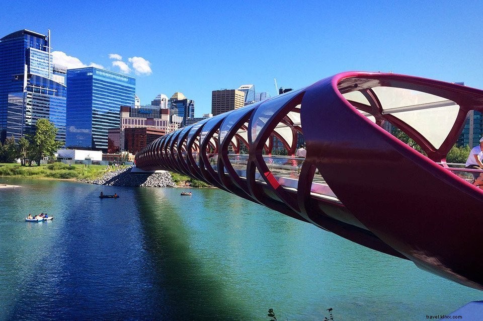 Canada Road Trip Guide #5: Discover Calgary s Top Attractions & Must-See Spots