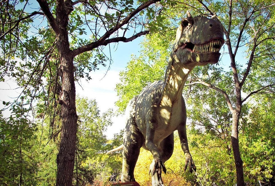 Canada Road Trip Guide #5: Discover Calgary s Top Attractions & Must-See Spots