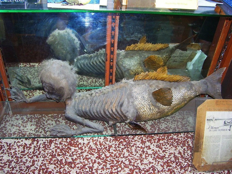 Canada Road Trip #4: Discover Banff National Park s Stunning Lakes & Mountains