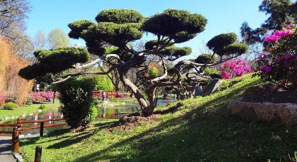 3 Days in Vibrant Buenos Aires: Ultimate Itinerary & Top Attractions