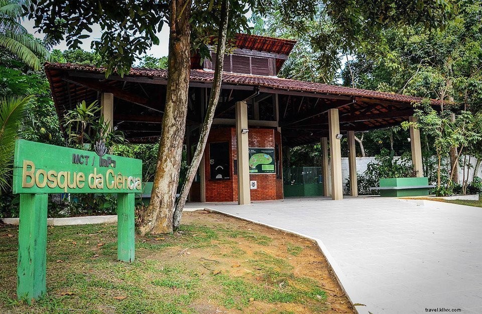 Discover Manaus: Amazon River Boat Trip & Jungle Trek | Brazil Travel Guide #4