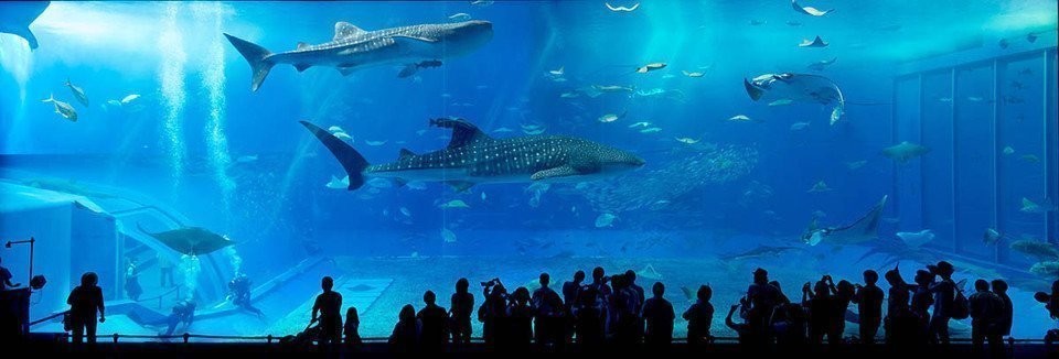 Ultimate Melbourne Travel Guide: Top Attractions & Must-See Spots in Australia