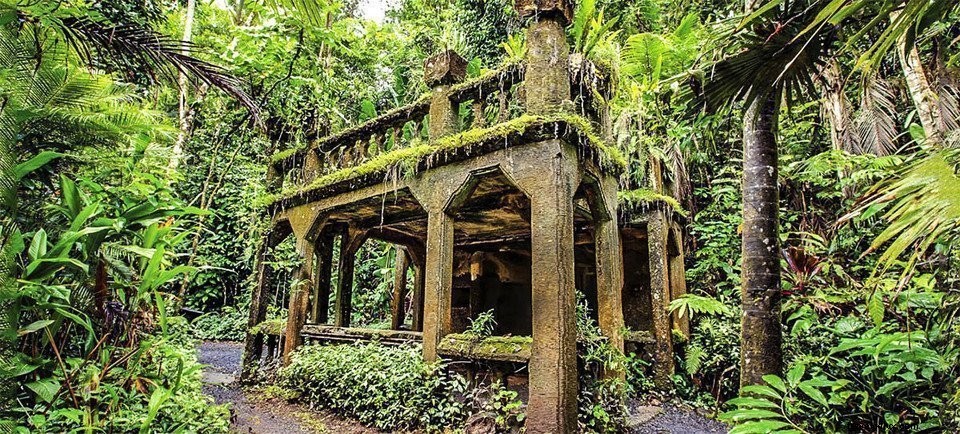 Discover Australia s Hidden Gems: Paronella Park & William Ricketts Sanctuary Travel Guide #1