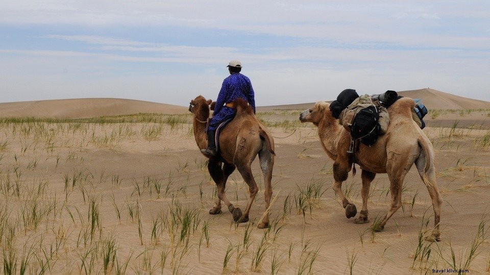 Discover Wild Mongolia: An Authentic Nomad Adventure Awaits