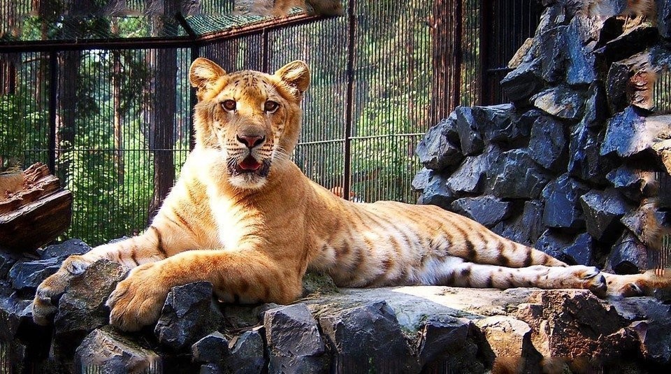 Trans-Siberian Railway Adventure #3: Discovering Novosibirsk s Hidden Charms