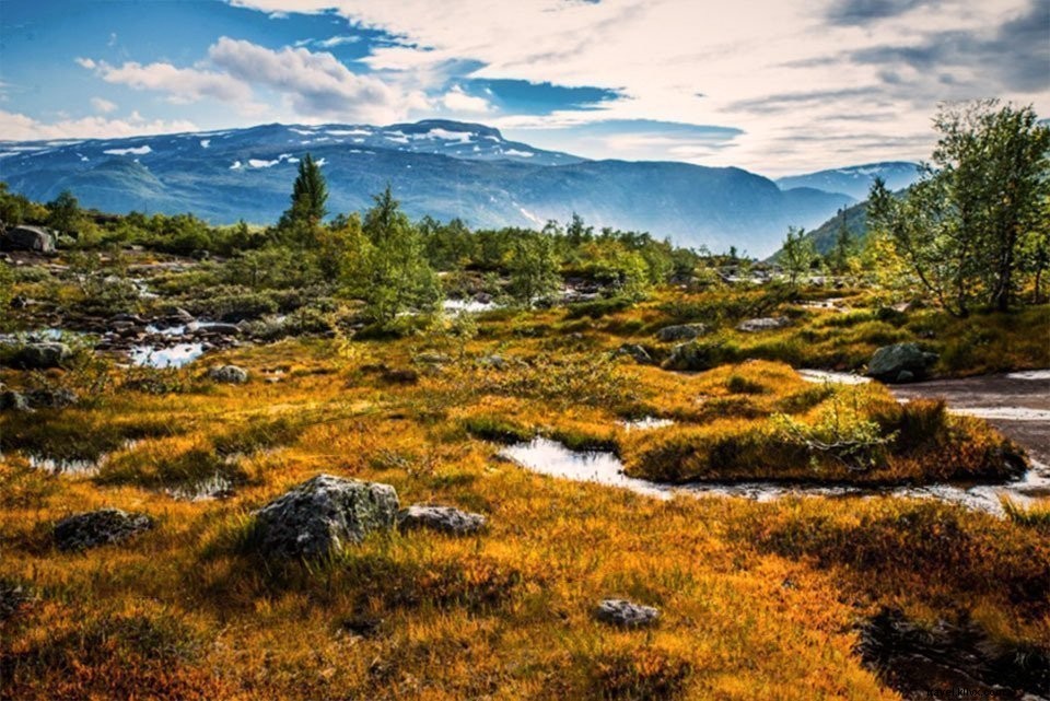 Ultimate Trolltunga Hike Guide: Tips, Trails & Epic Views in Norway