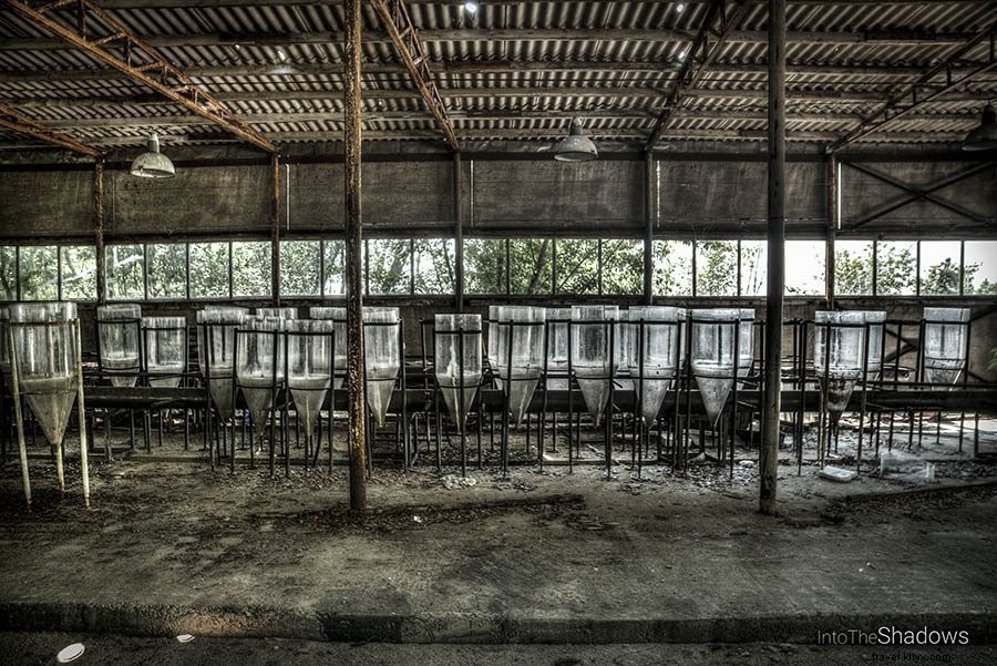 72 Hours in Pripyat and Chernobyl Exclusion Zone: An Urban Explorer s Journey