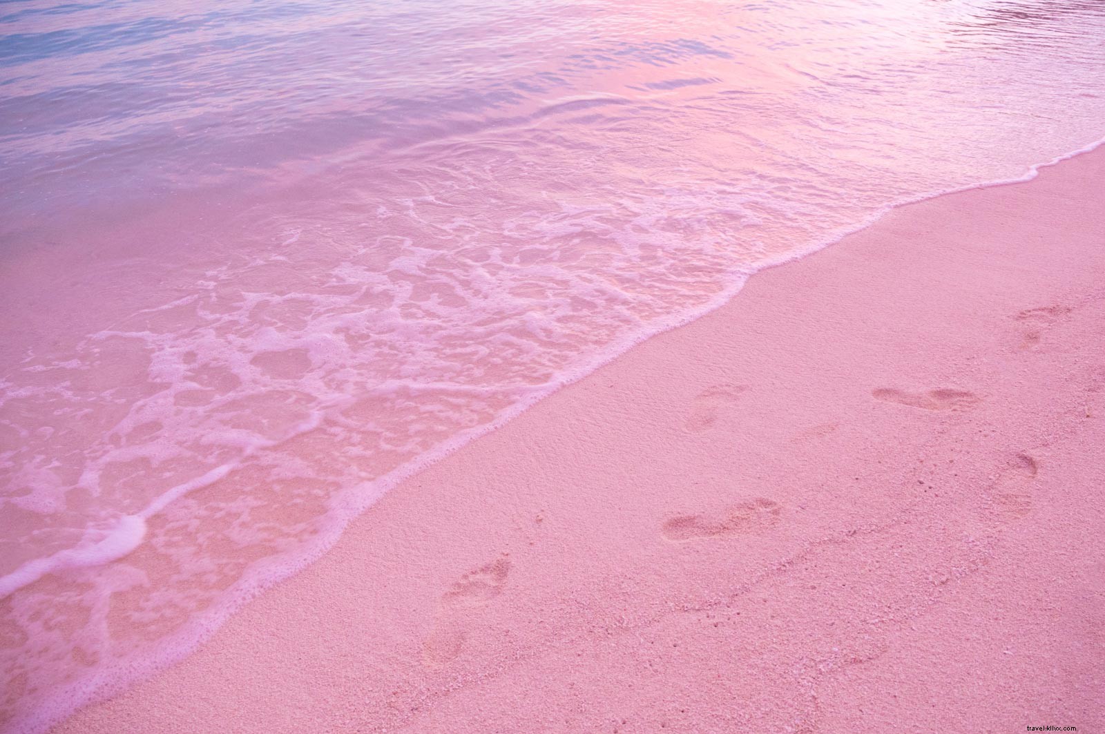 Discover the 18 Best Things to Do in the Bahamas: Ultimate Travel Guide