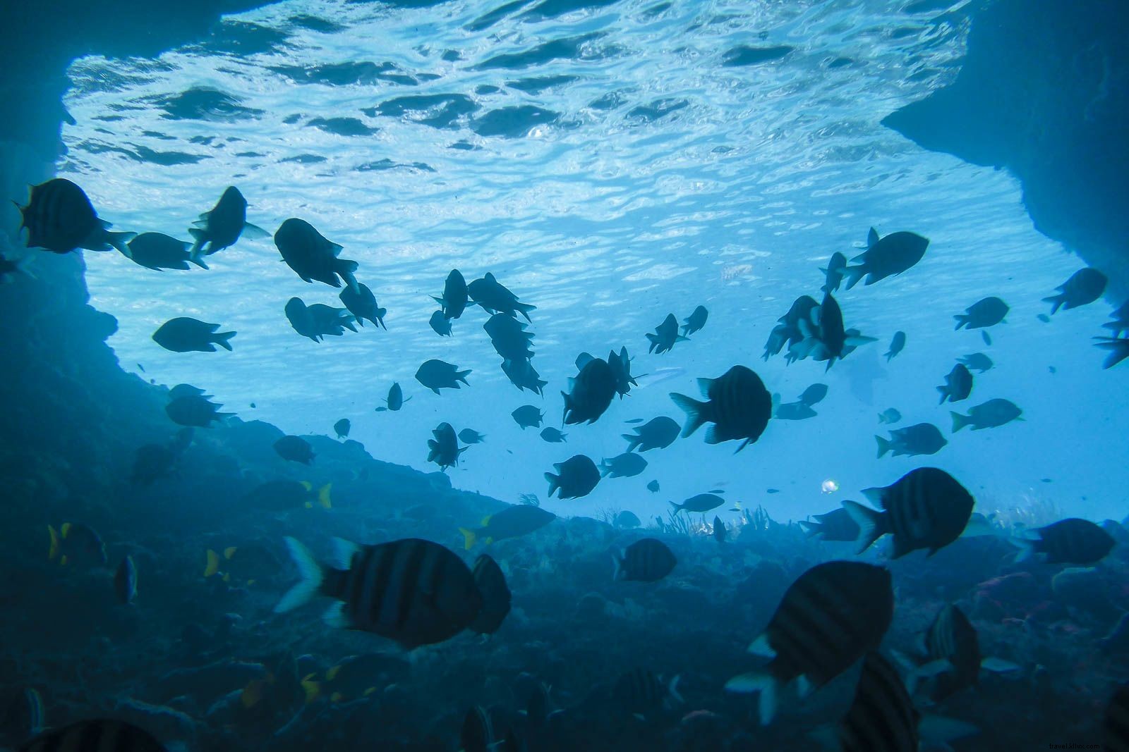 Discover the 18 Best Things to Do in the Bahamas: Ultimate Travel Guide