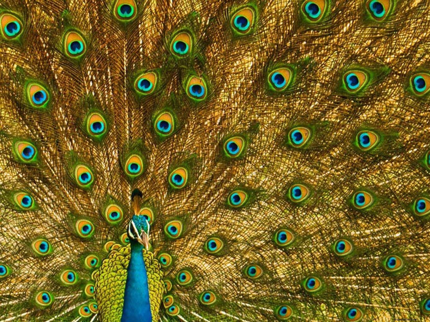 Croatia s Top 20 Must-See Attractions: Beaches, Cities & National Parks