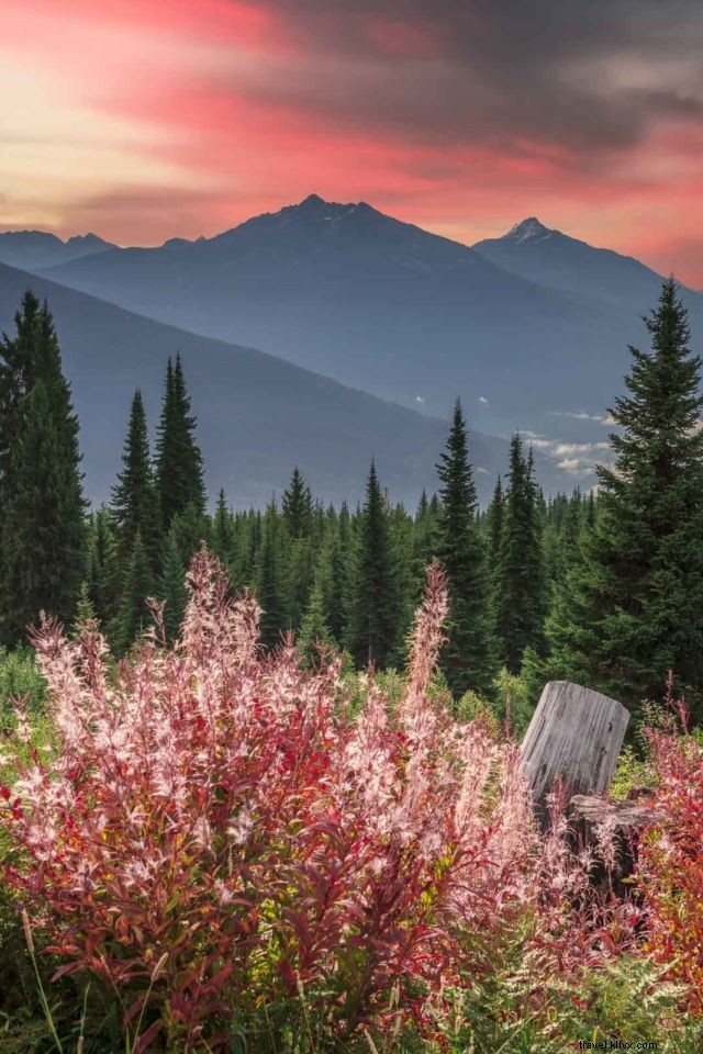 Ultimate British Columbia Road Trip: Vancouver to Kelowna & Revelstoke Guide