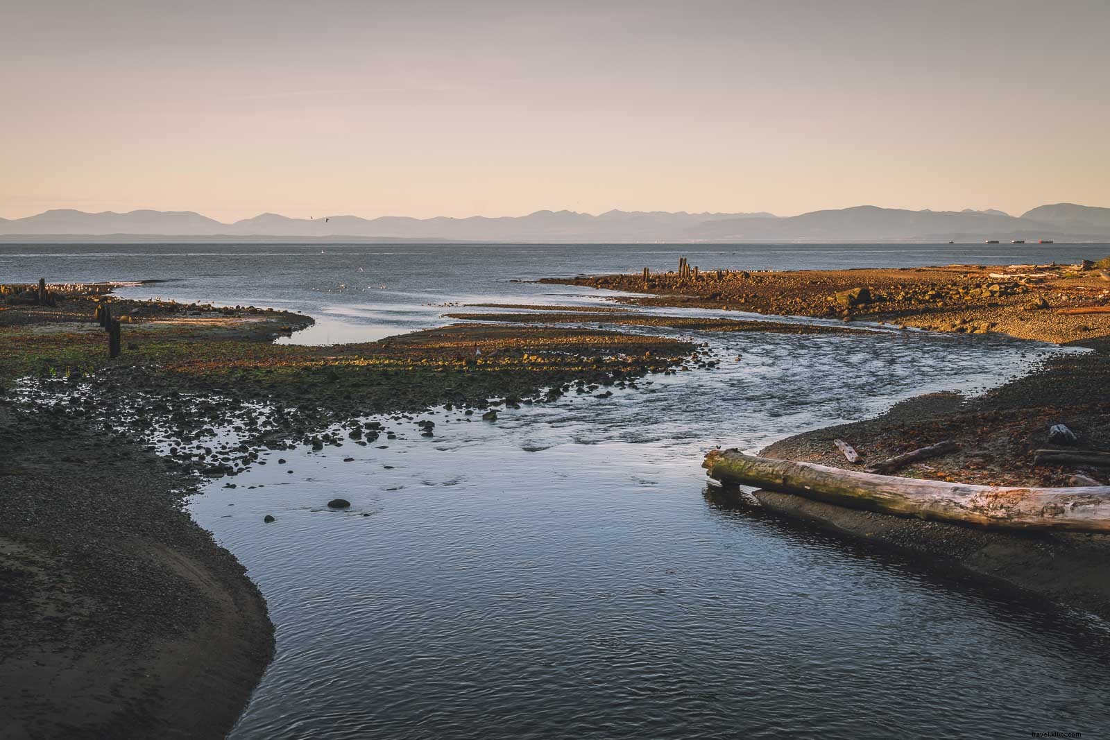 26 Best Things to Do in Vancouver, BC: Ultimate Guide to Top Attractions & Adventures