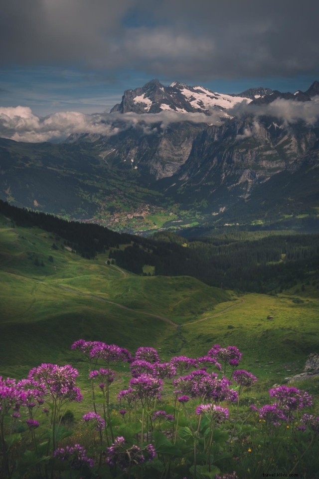 16 Fascinating Facts About Switzerland: Secrets of the Alpine Wonderland