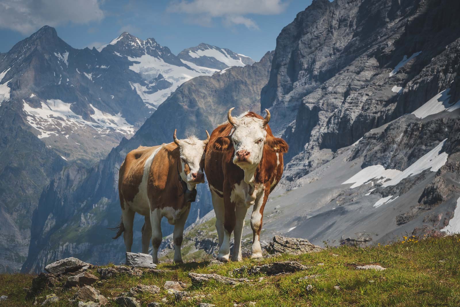 16 Fascinating Facts About Switzerland: Secrets of the Alpine Wonderland