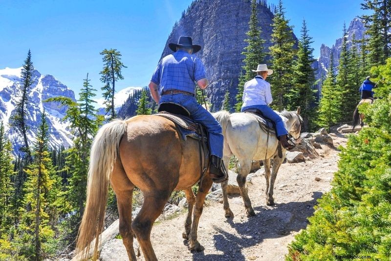 47 Best Things to Do in Banff, Canada: Ultimate Rockies Adventure Guide