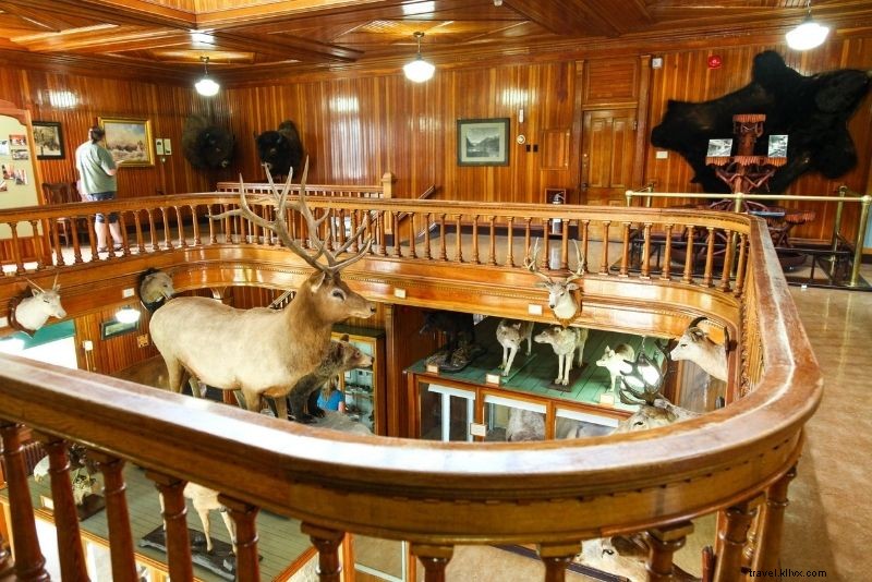 47 Best Things to Do in Banff, Canada: Ultimate Rockies Adventure Guide