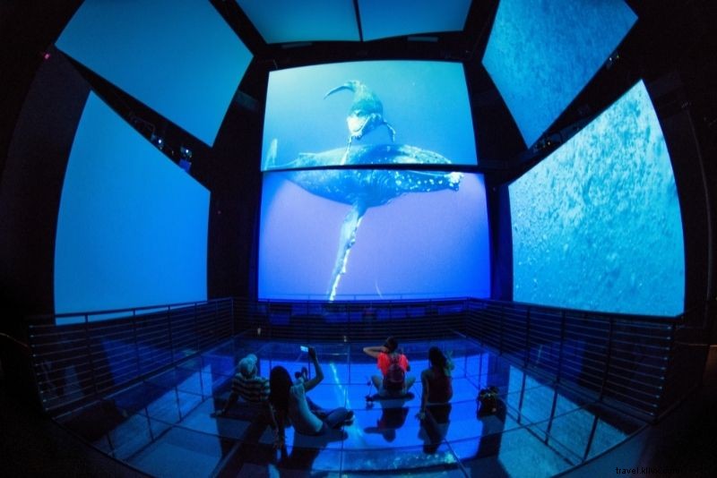 Discover 45 Exciting Things to Do in Panama City, Panama: Ultimate Adventure Guide