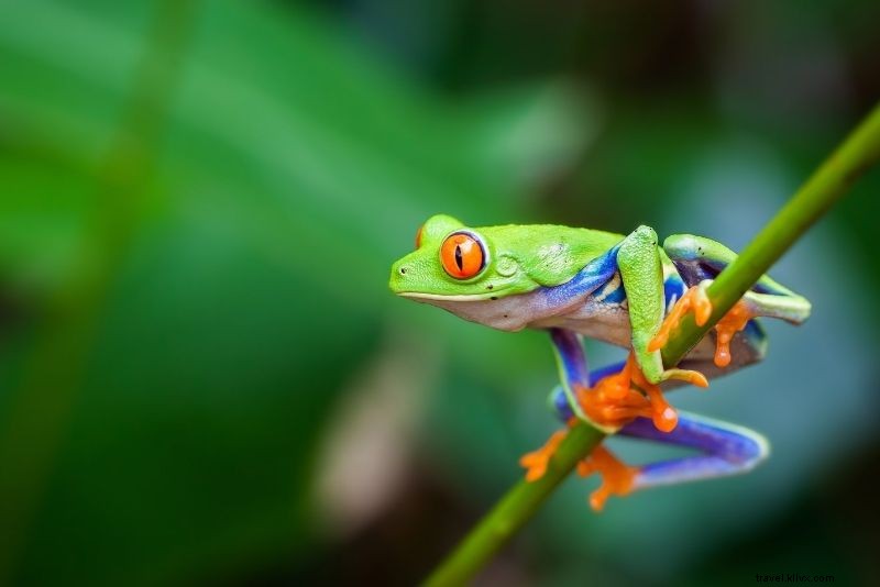 Discover 45 Exciting Things to Do in Panama City, Panama: Ultimate Adventure Guide