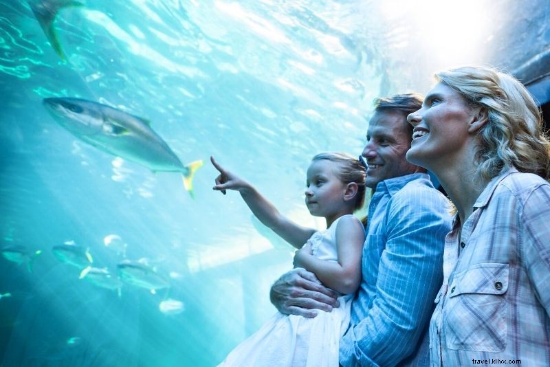 Top 68 Fun Things to Do in Milan, Italy: Ultimate Travel Guide