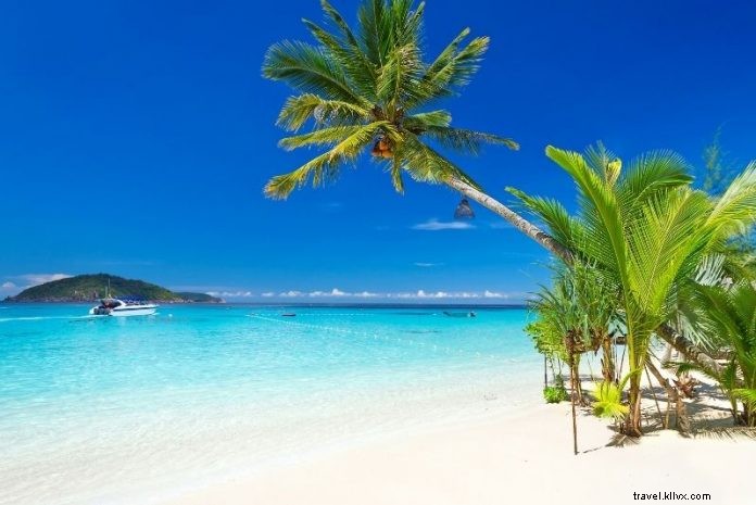 Discover 67 Must-Do Activities in Jamaica: Ultimate Travel Guide