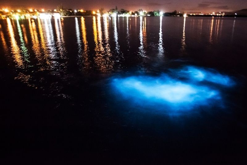 Discover 67 Must-Do Activities in Jamaica: Ultimate Travel Guide