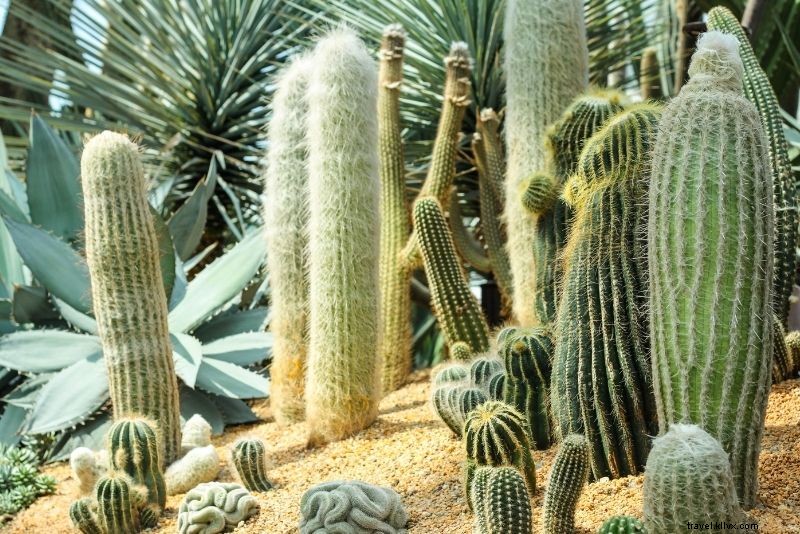 Discover 66 Exciting Things to Do in Abu Dhabi, UAE: Ultimate Guide