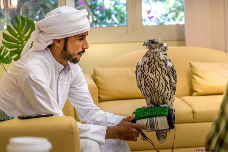 Discover 66 Exciting Things to Do in Abu Dhabi, UAE: Ultimate Guide