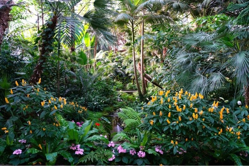 Top 50 Fun Things to Do in Frankfurt, Germany: Ultimate Travel Guide