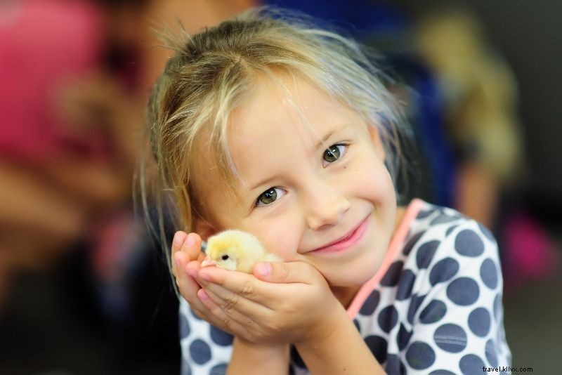 Top 50 Fun Things to Do in Frankfurt, Germany: Ultimate Travel Guide