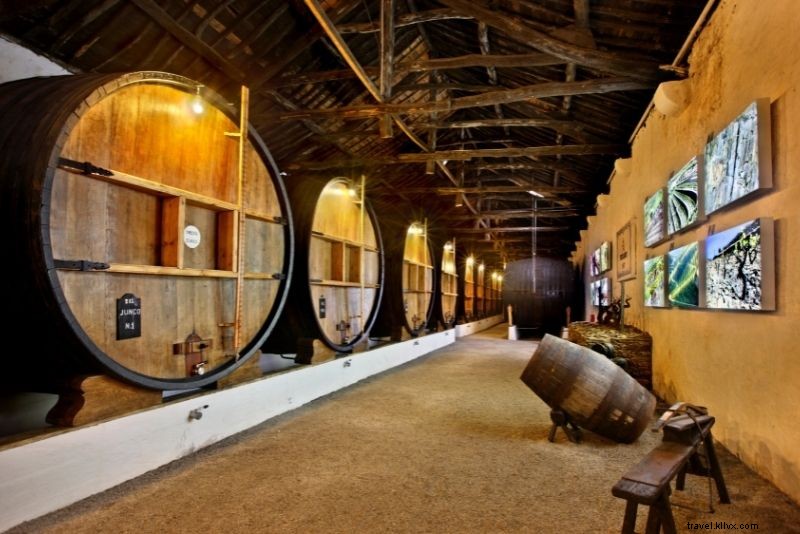 62 Must-Do Things to Do in Porto: Ultimate Travel Guide