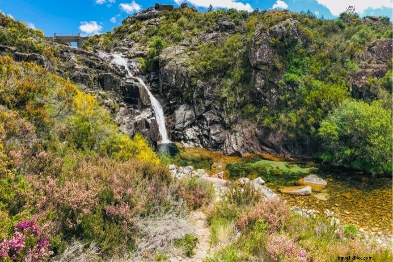 62 Must-Do Things to Do in Porto: Ultimate Travel Guide