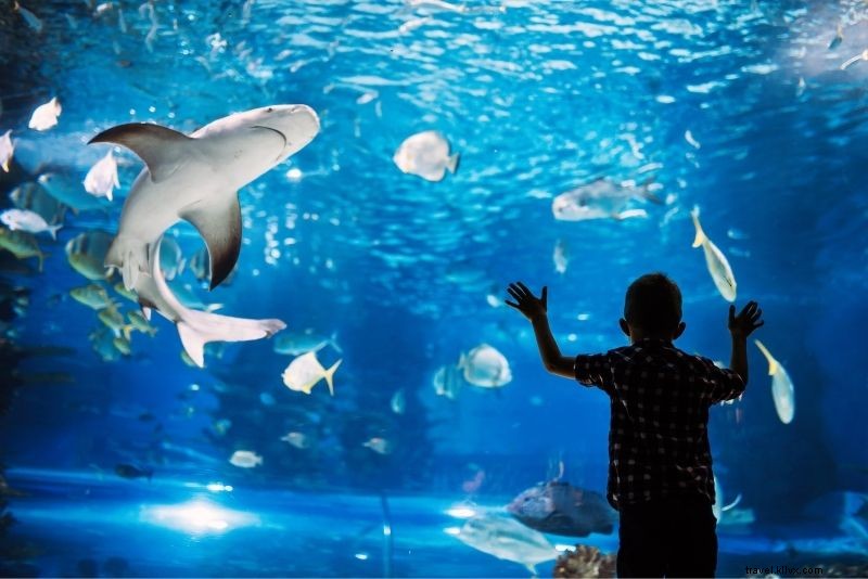 62 Must-Do Things to Do in Porto: Ultimate Travel Guide