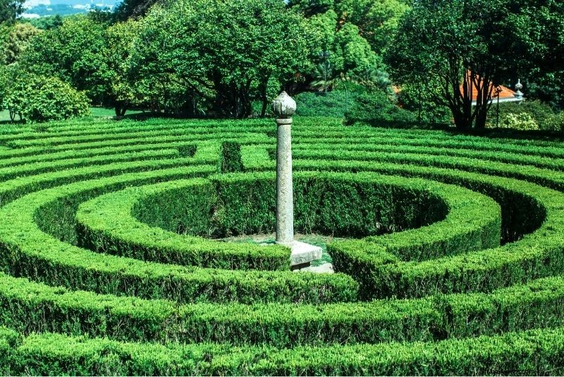 62 Must-Do Things to Do in Porto: Ultimate Travel Guide