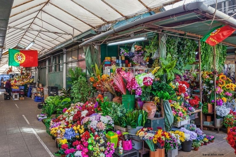 62 Must-Do Things to Do in Porto: Ultimate Travel Guide