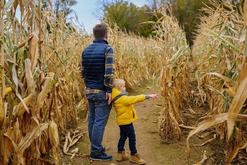 Discover 45 Fun & Unusual Things to Do in Historic York, UK