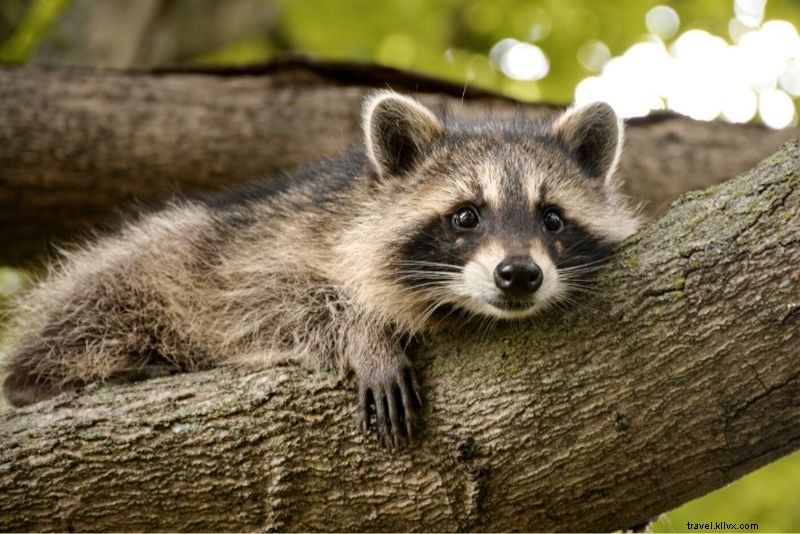 Discover 45 Fun & Unusual Things to Do in Historic York, UK