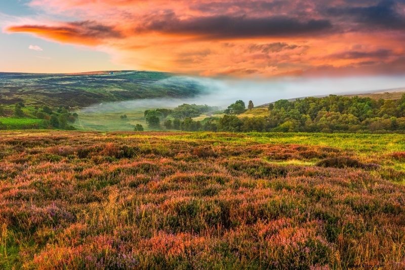 Discover 45 Fun & Unusual Things to Do in Historic York, UK