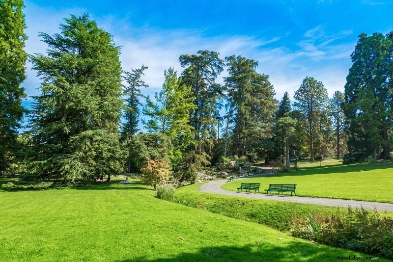 53 Best Fun Things to Do in Geneva, Switzerland: Ultimate Guide