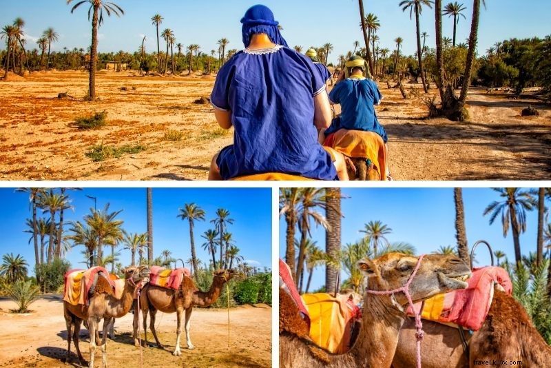 50 Best Things to Do in Marrakech, Morocco: Ultimate Travel Guide