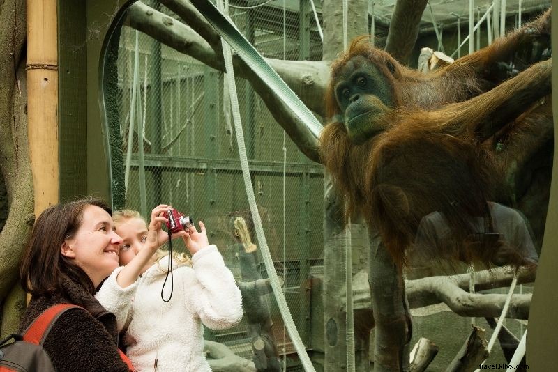 Discover 55 Fun & Unique Things to Do in Kraków, Poland